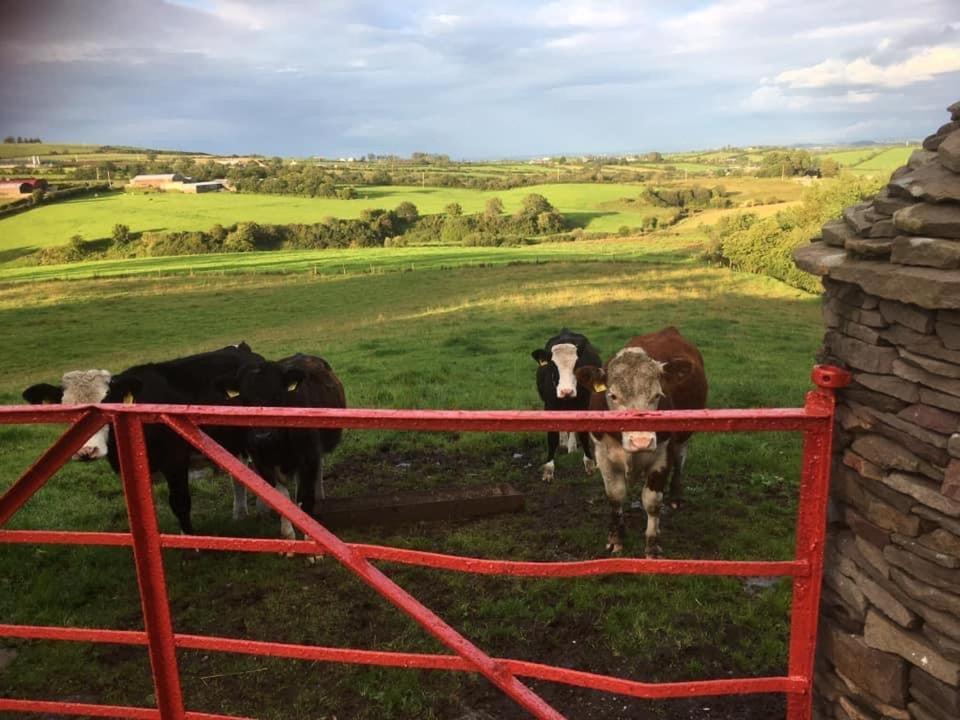 Crockgarve B And B Galbally ภายนอก รูปภาพ
